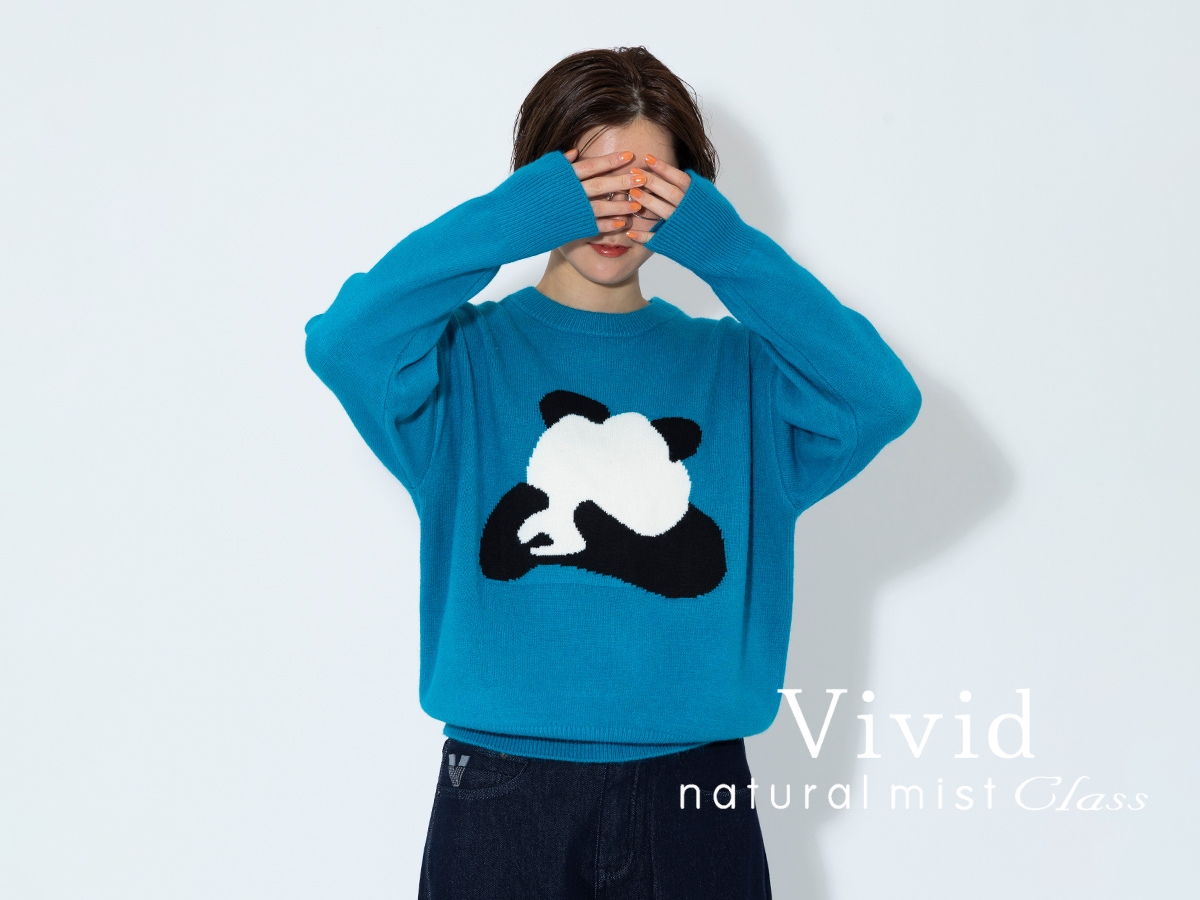 コーポサイト_VI_スライド